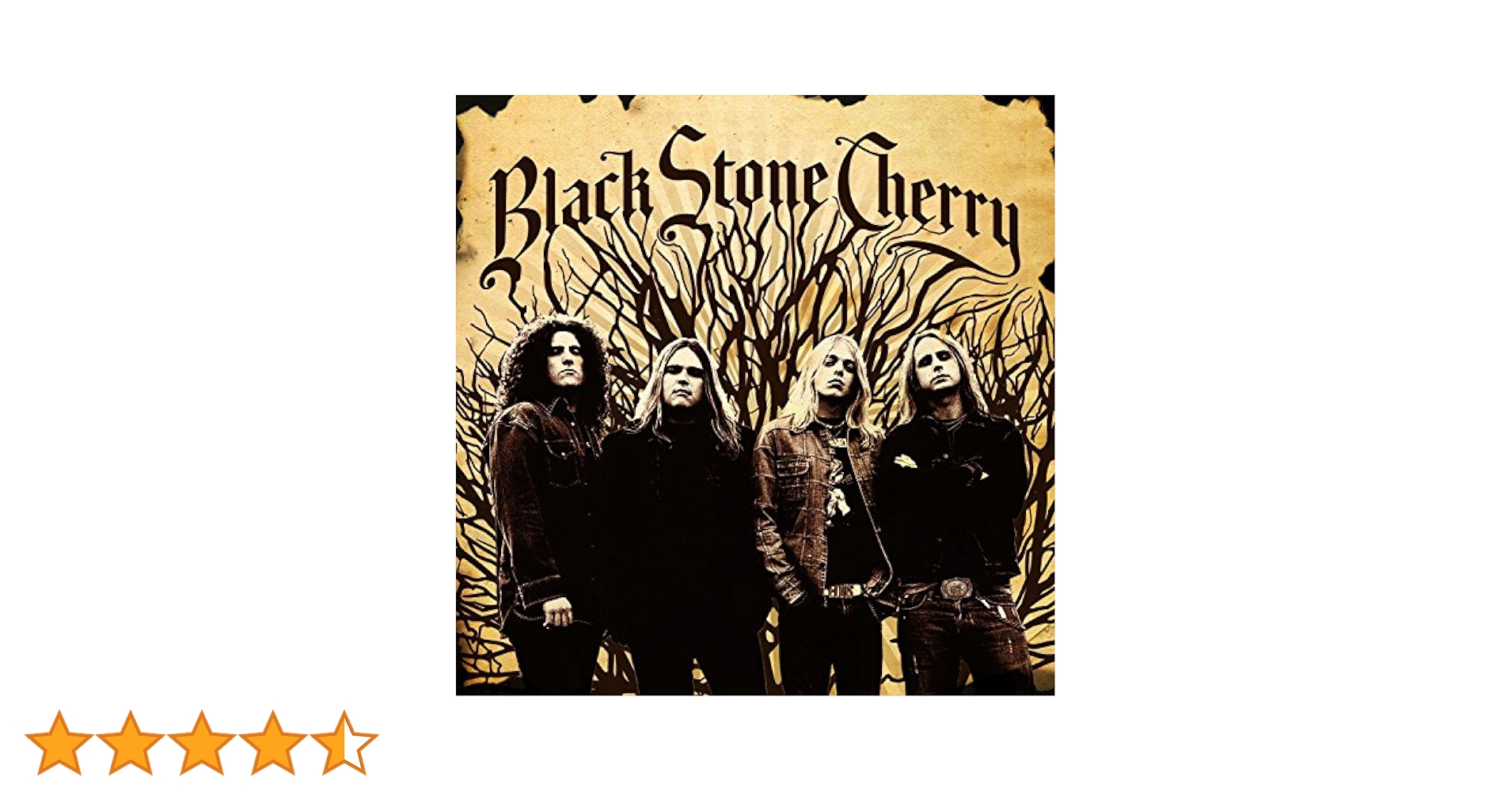 ブラック・ストーン・チェリー - サンキュー:リヴィング・ライヴ - バーミンガム UK 2014 Black Stone Cherry - White Trash Millionaire (Thank You